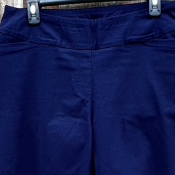💐🌷Westbound Navy Blue Flat Front Pull-on Pants Size 12L. EUC - Picture 2 of 6